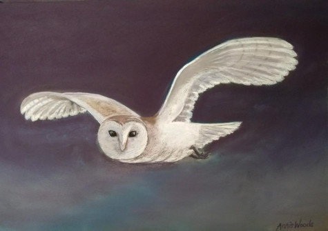 17-Night-Owl-Pastel