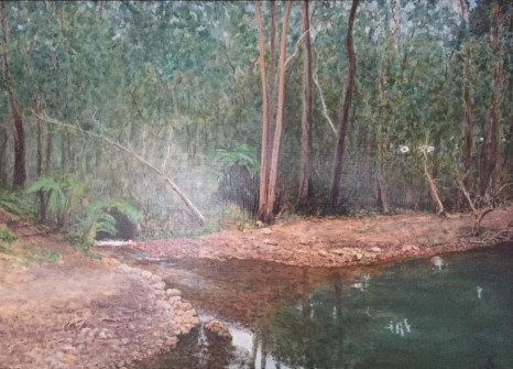Creek in Araluen Botanical Gardens