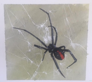 11-Red-Back-Spider-Watercolour