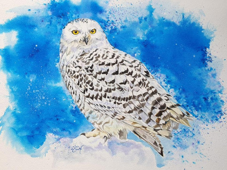 16-Snowy-Winter-Owl-Watercolour-Ink